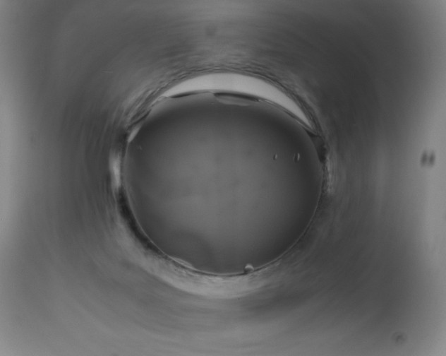 X0000113040027200908271517
