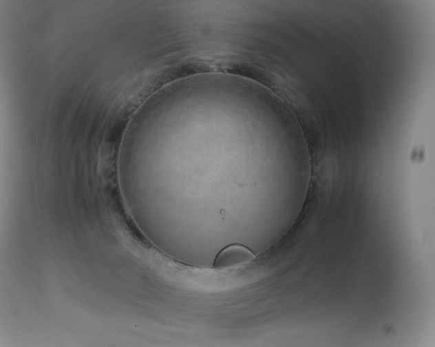 X0000113040030200908271516