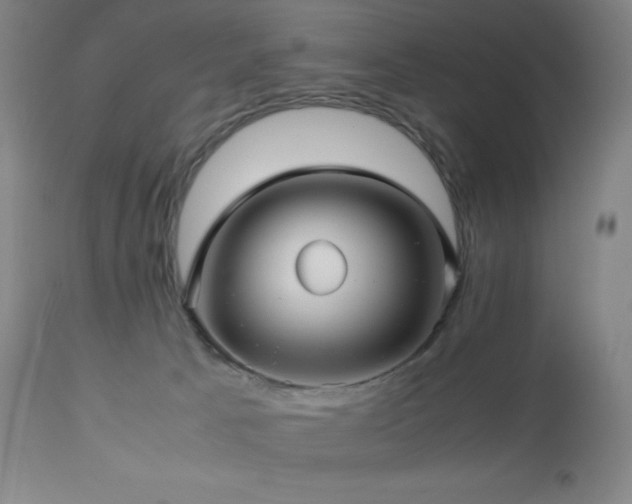 X0000113040033200908271516