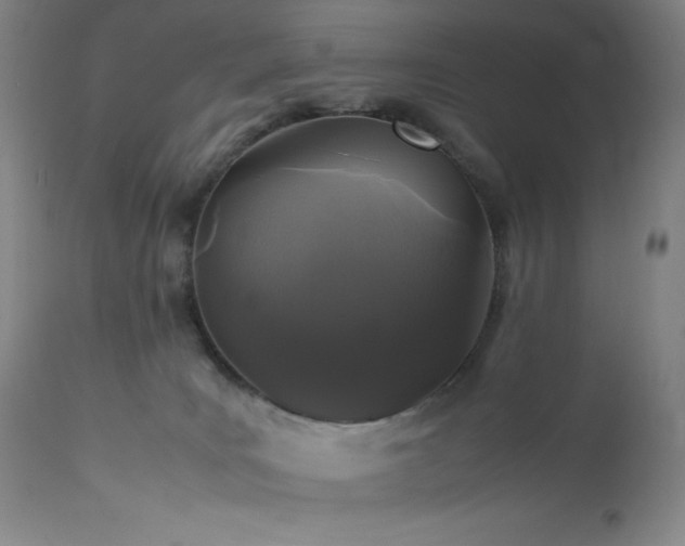 X0000113040035200908271516