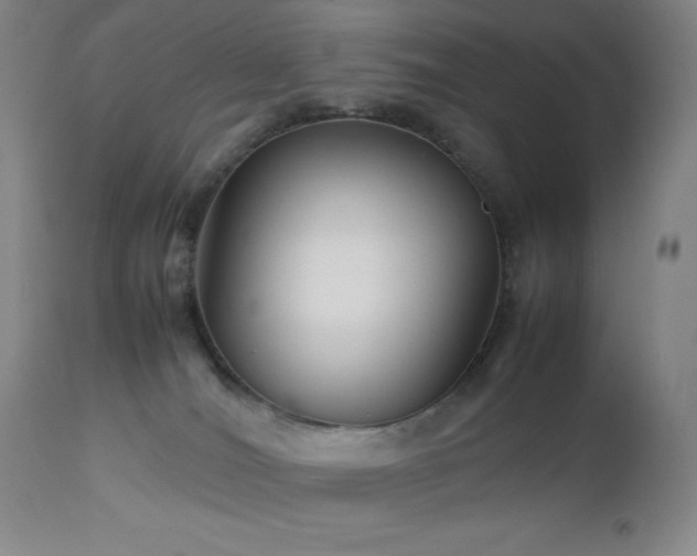 X0000113040036200908271516