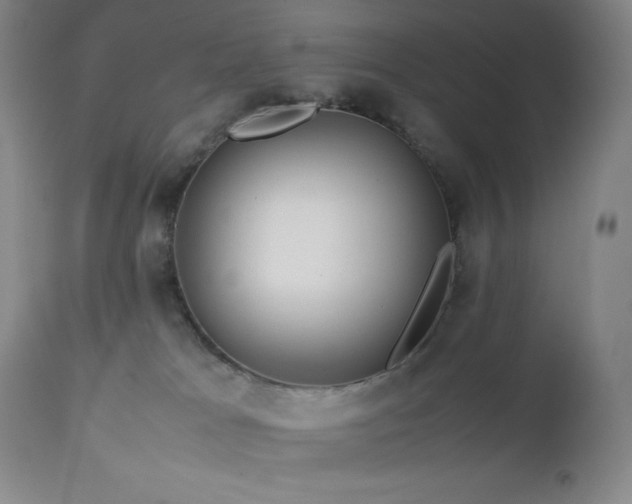 X0000113040037200908271516