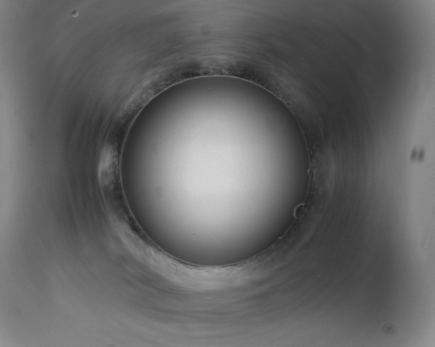 X0000113040038200908271516