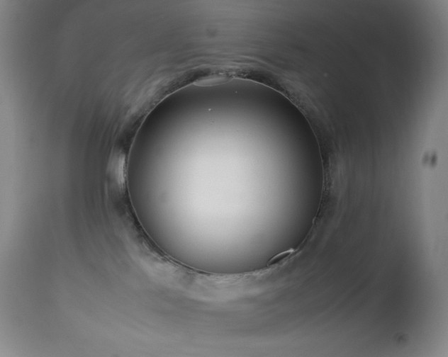 X0000113040041200908271516