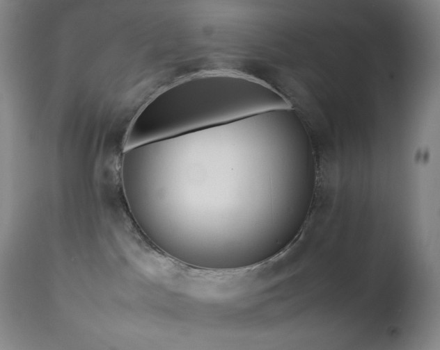 X0000113040045200908271516