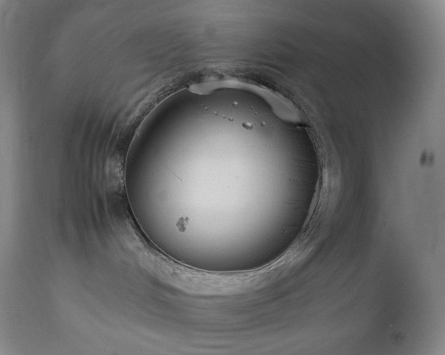 X0000113040048200908271516