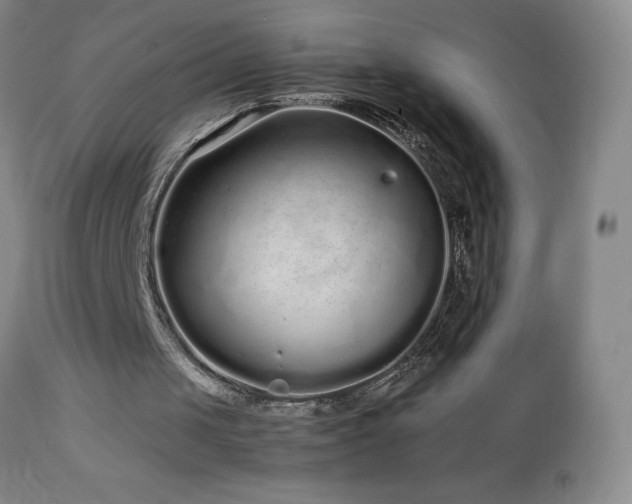 X0000113040049200908271515