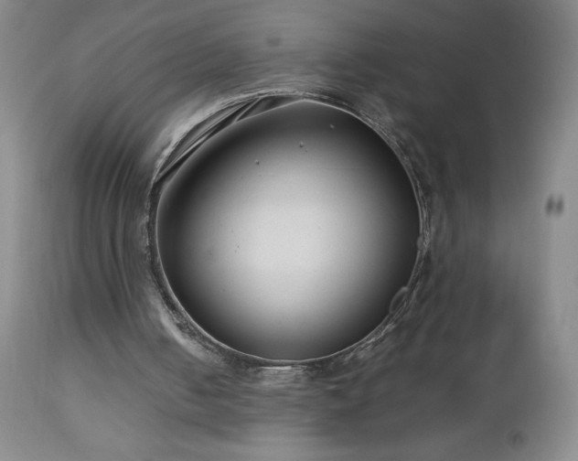 X0000113040050200908271515