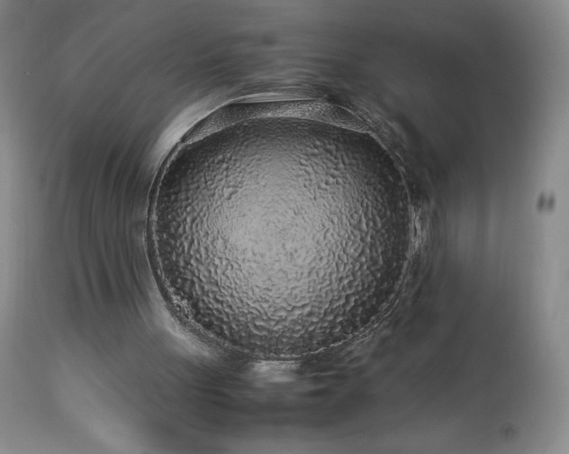 X0000113040051200908271516