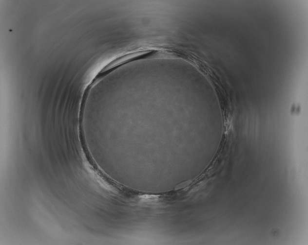 X0000113040052200908271516