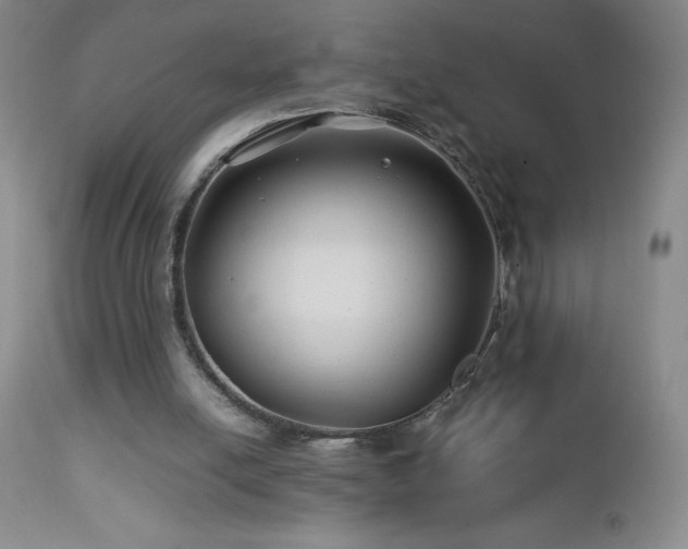 X0000113040054200908271516