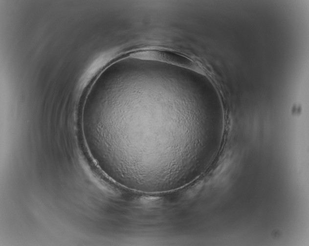 X0000113040055200908271516