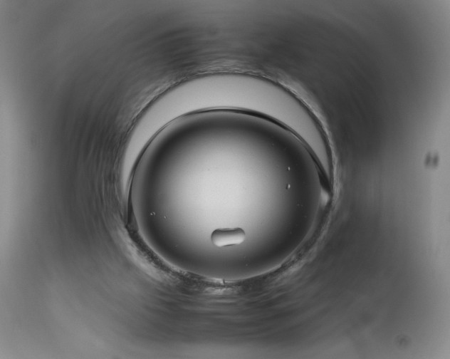 X0000113040057200908271516
