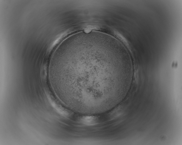 X0000113040059200908271516