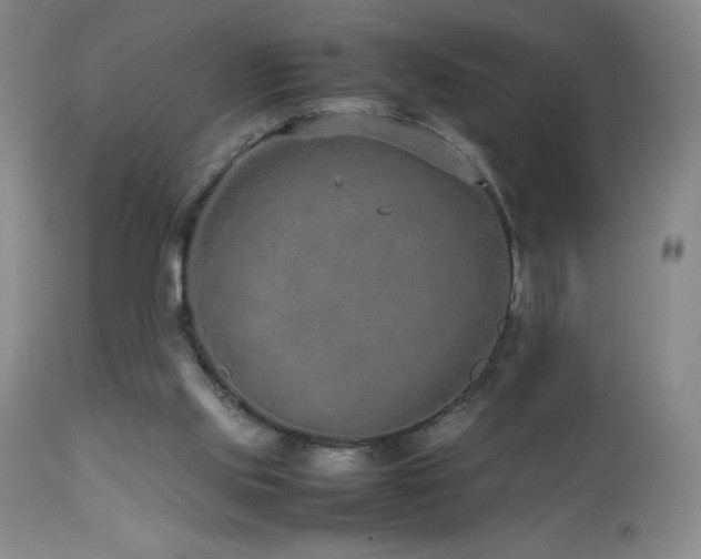 X0000113040061200908271516