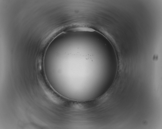X0000113040062200908271516