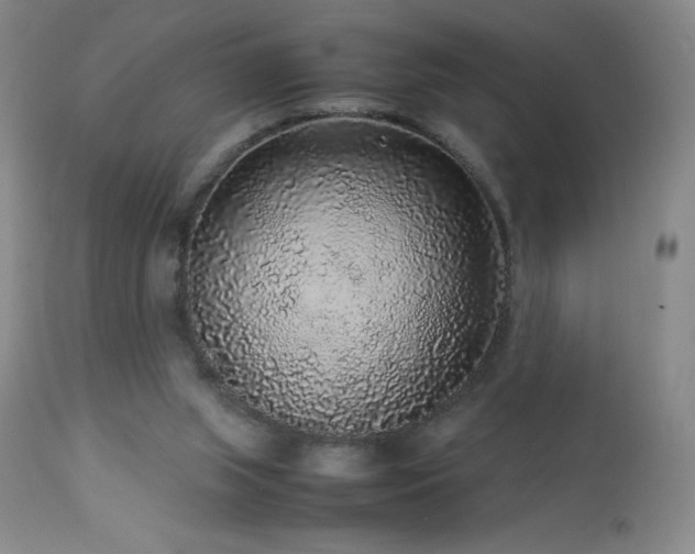 X0000113040063200908271516
