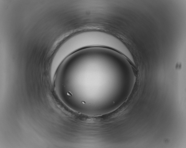 X0000113040064200908271516