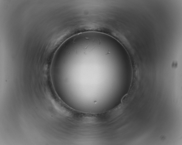 X0000113040066200908271516