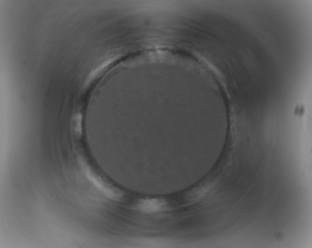 X0000113040067200908271516