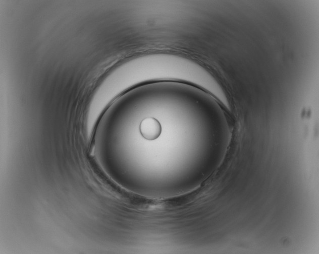 X0000113040068200908271516