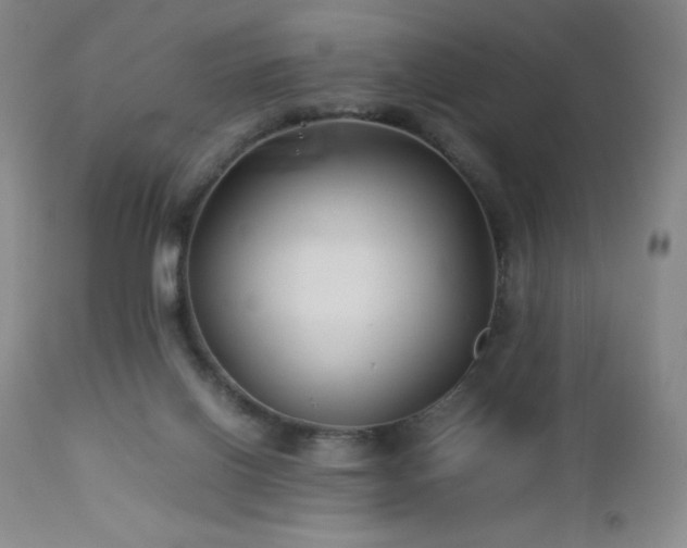 X0000113040070200908271516