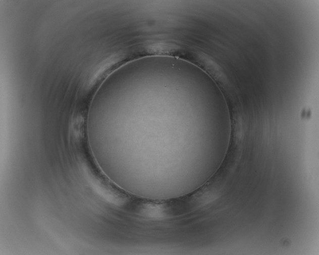X0000113040071200908271516