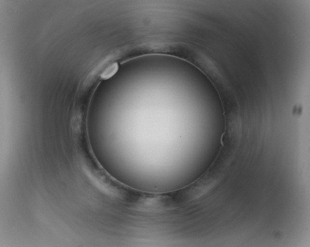 X0000113040072200908271516