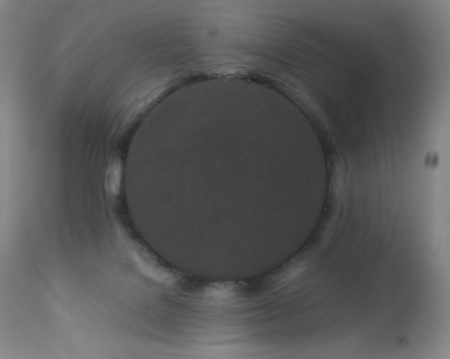 X0000113040076200908271516