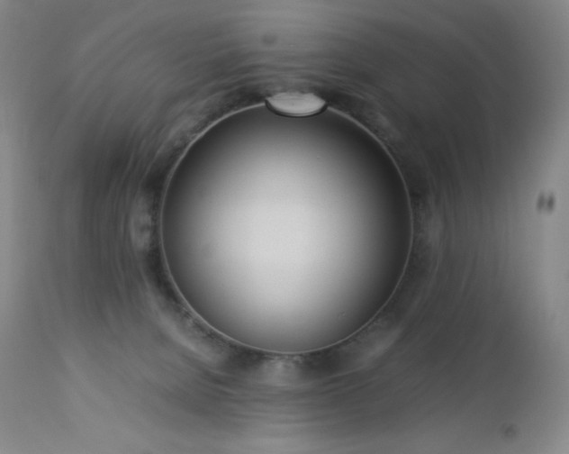 X0000113040080200908271516