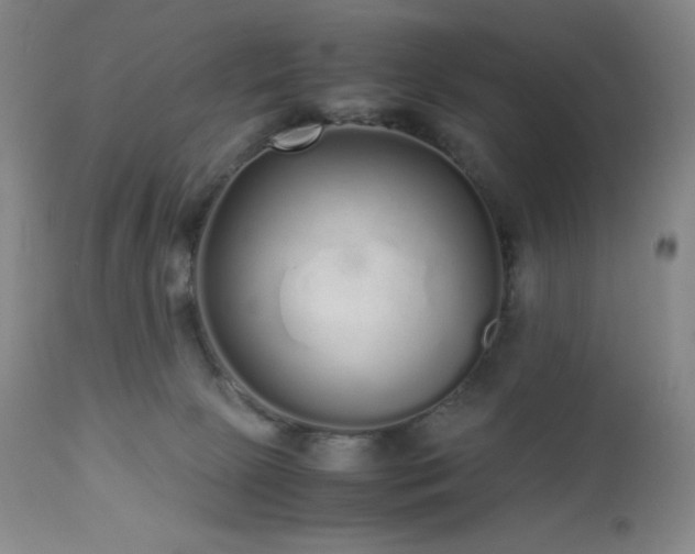 X0000113040081200908271516