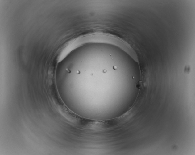 X0000113040082200908271516