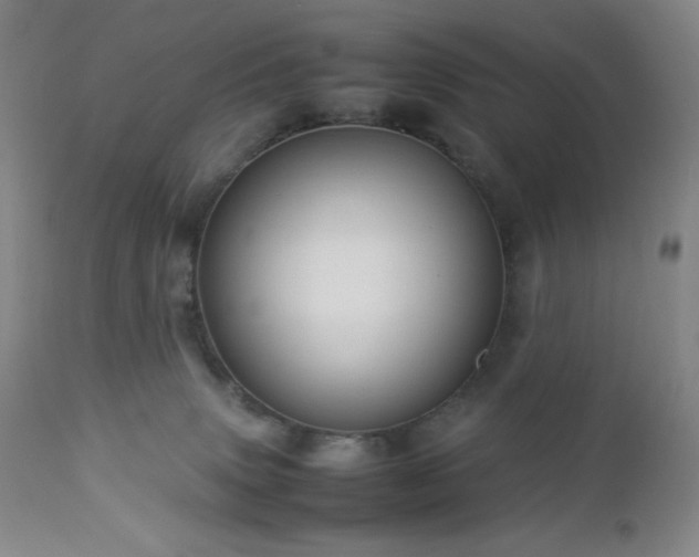 X0000113040083200908271516