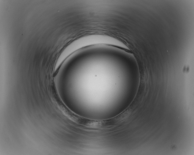 X0000113040084200908271516