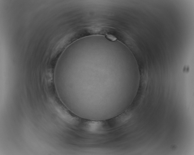 X0000113040085200908271516