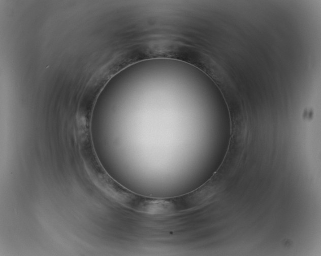 X0000113040087200908271516