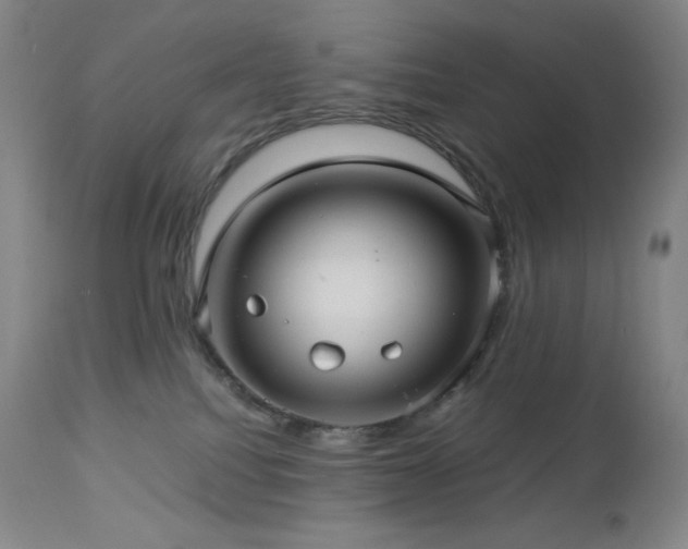 X0000113040088200908271516