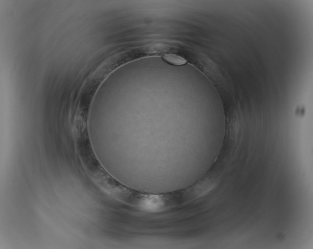 X0000113040091200908271516