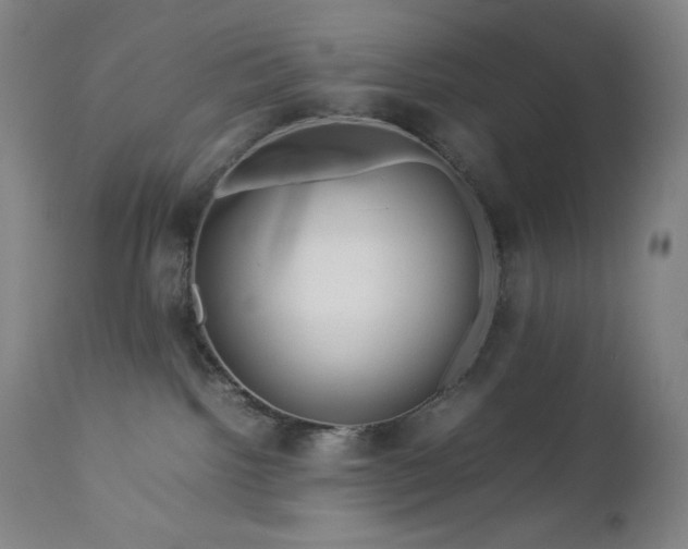 X0000113040092200908271516