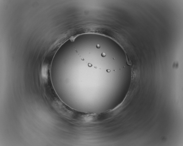X0000113040094200908271516