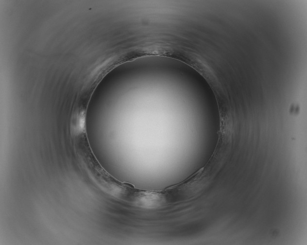 X0000113040095200908271516