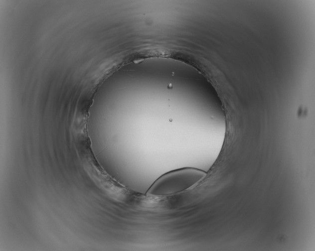 X0000113040096200908271516