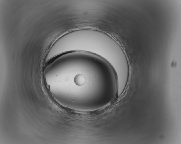 X0000113040097200908271515