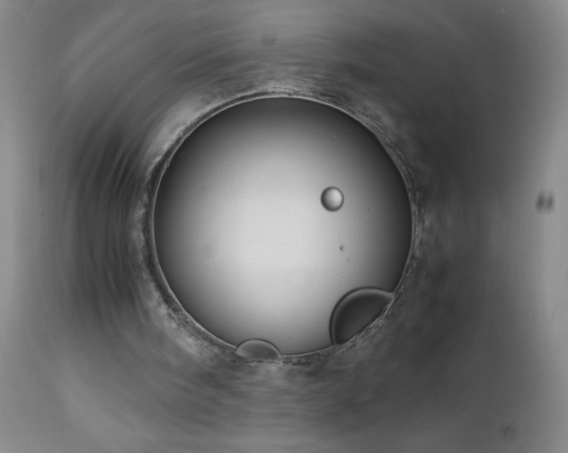 X0000113040098200908271515