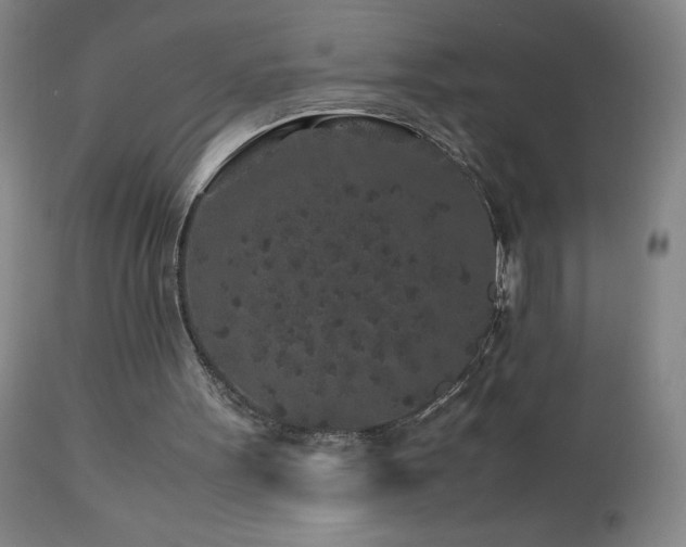 X0000113040099200908271515
