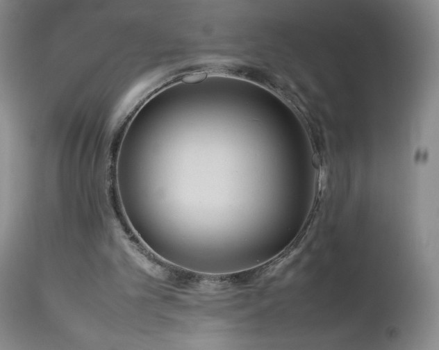 X0000113040101200908271515