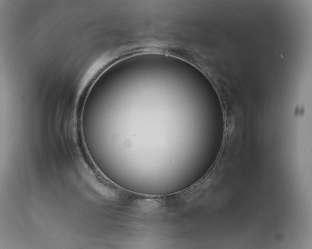 X0000113040102200908271515