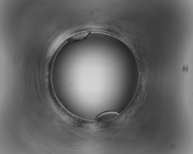 X0000113040103200908271515