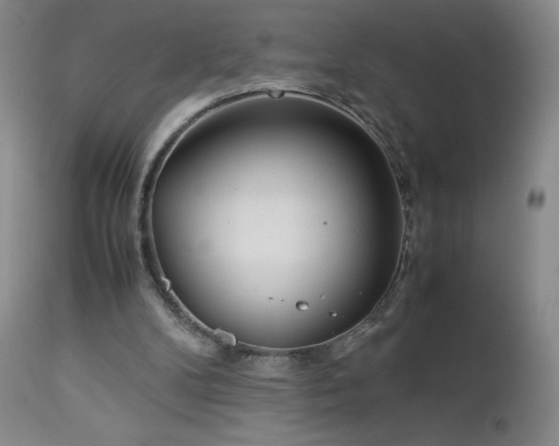 X0000113040104200908271515