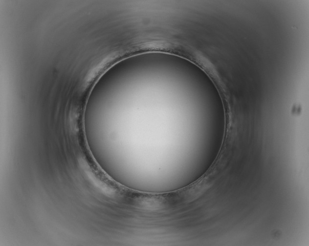 X0000113040106200908271515